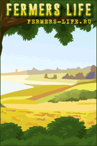 игры с выводом денег без вложений